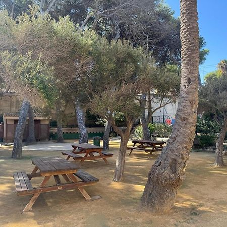 Apartamento Primera Linea Playa Muchavista El Campello Eksteriør billede